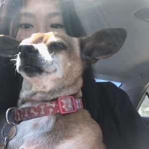 Meet your Posher, Yvonne